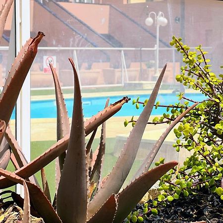 Apartmán Sun Days Corralejo Irent Fuerteventura Exteriér fotografie